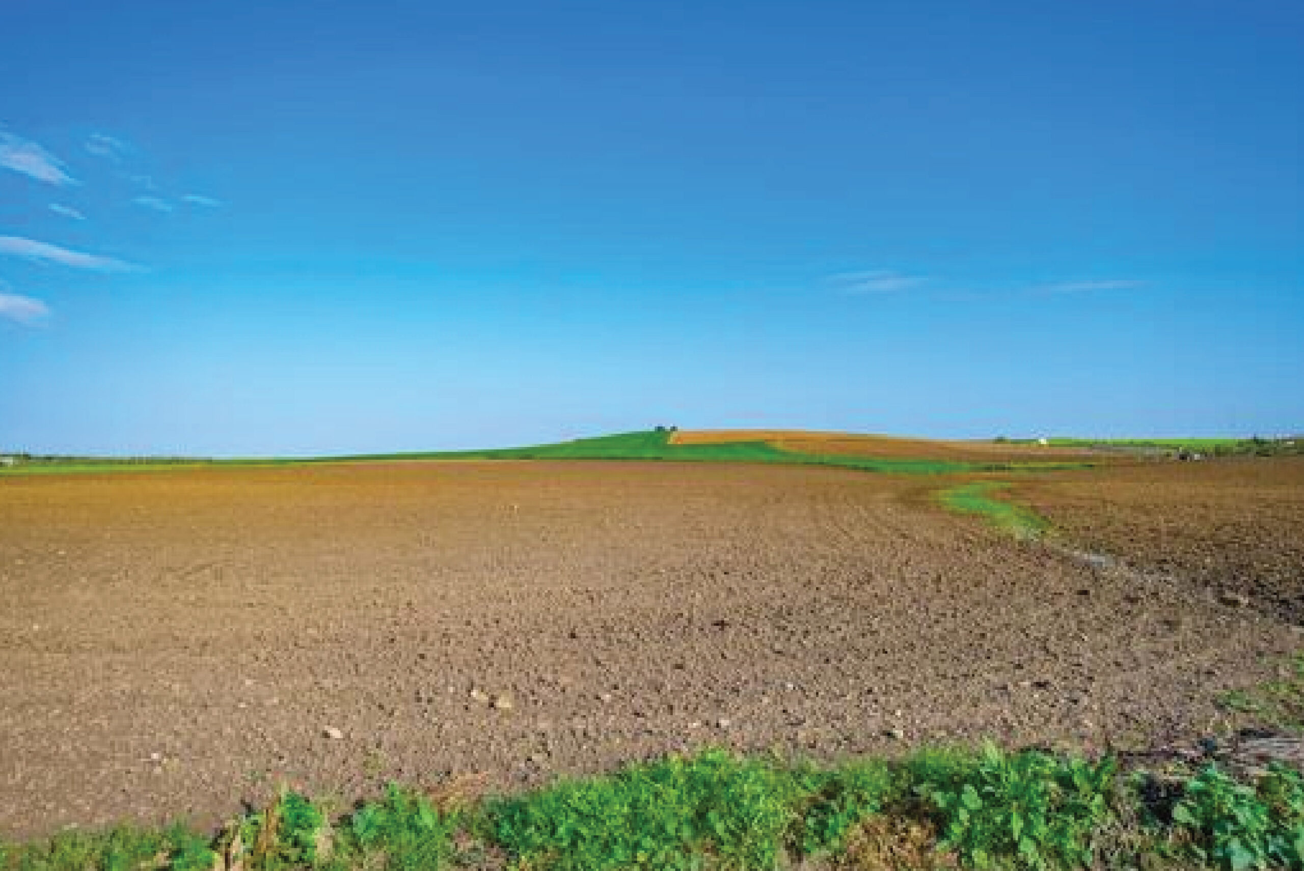 land